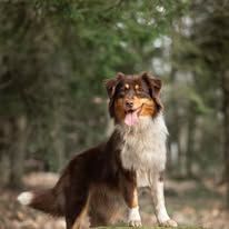 Upendi ( urka) De Chucalane