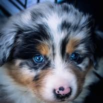 Amor tokyo Des Bebouw D'Urka