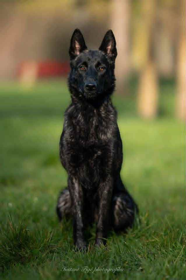 Des Gardiens De La Seine Vaya